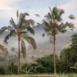 Best Locations to Build a Villa in Bali in 2024